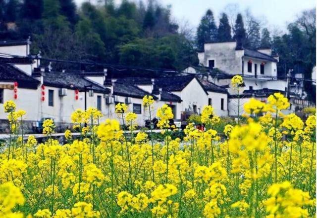 Xishan Wutong Qinyuan Huang Shan Exterior foto