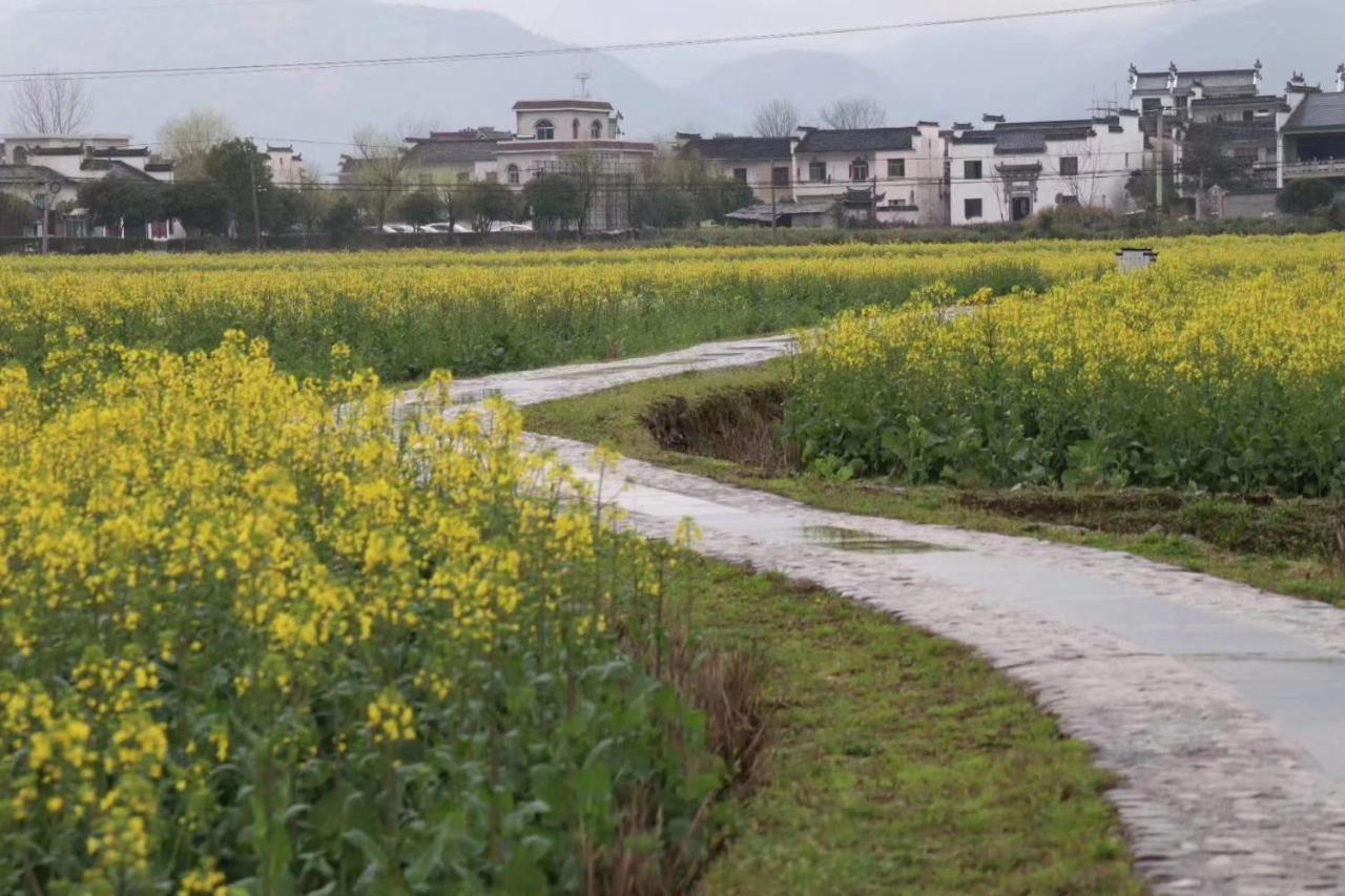 Xishan Wutong Qinyuan Huang Shan Exterior foto